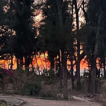 Poco Loco B&B Abémé Dış mekan fotoğraf