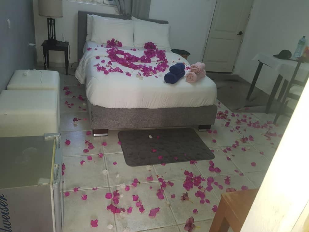 Poco Loco B&B Abémé Dış mekan fotoğraf